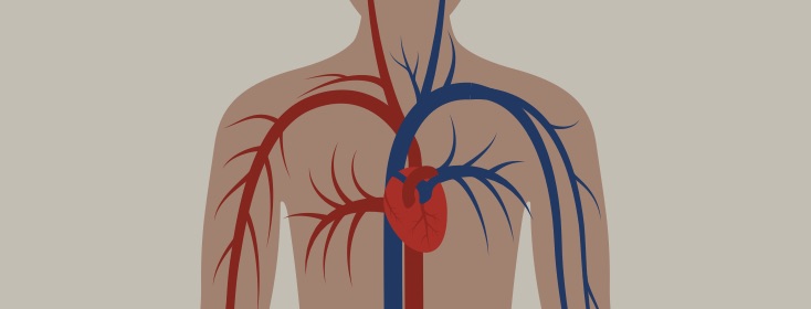 What Is Reduced Ejection Fraction Heart