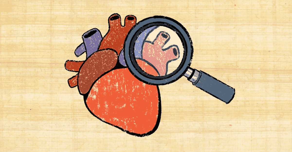 Heart Failure or Heart Attack: The Early Warning Signs image