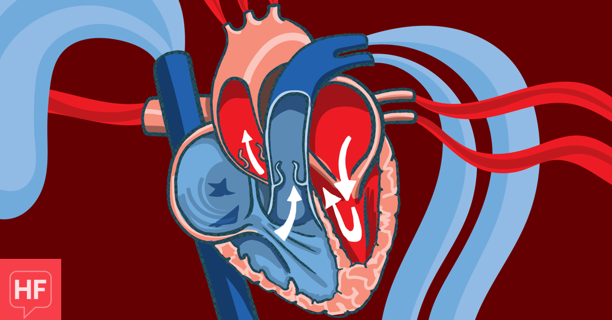 heart-failure-with-reduced-and-preserved-ejection-fraction