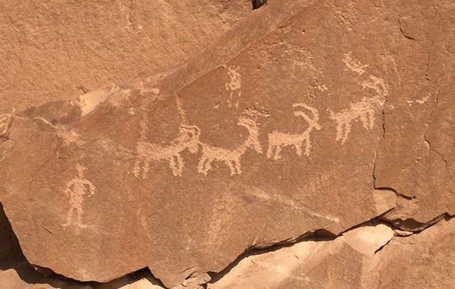 Petroglyphs of animals on a reddish rock.