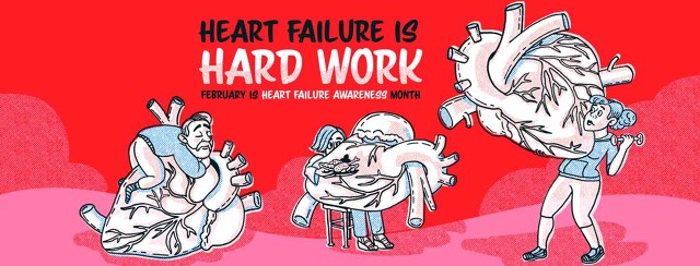 Heart Failure Awareness Month- It's Hard Work! image