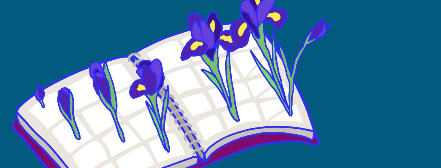 Irises, flowers growing out of a planner, schedule book. Spring, growth, healing, recovery.