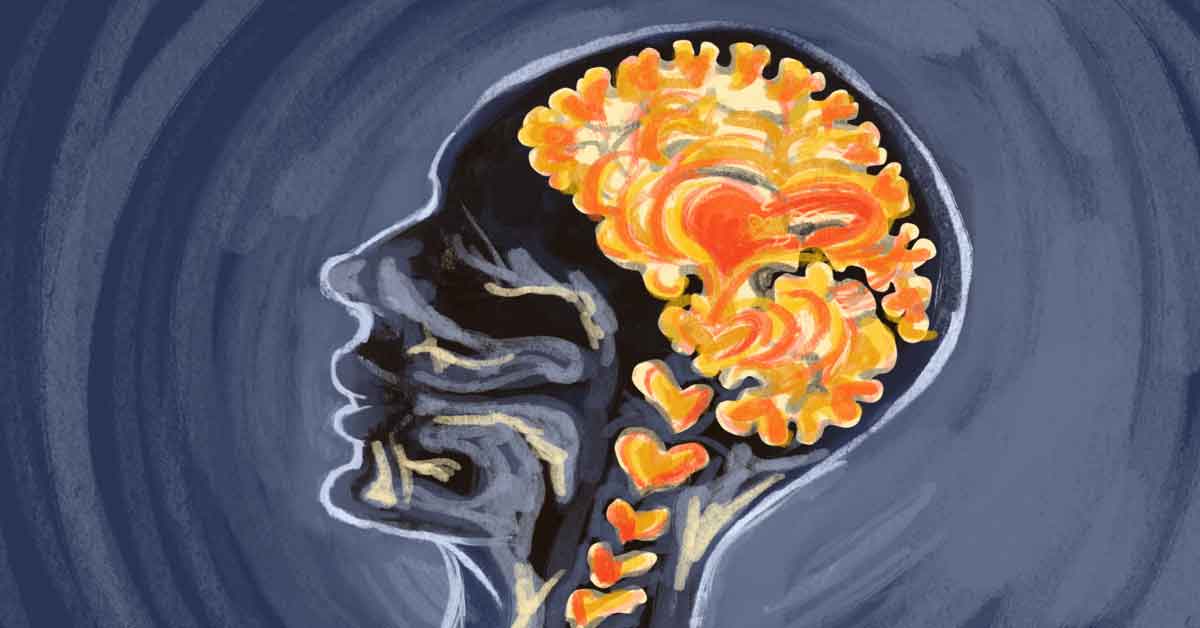 Does Gratitude Impact the Brain? image